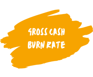 Gross Cash Burn Rate Graphic