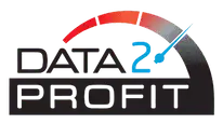 data 2 profit fractional cfo